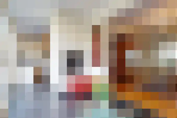 Meloengeel 1 Zoetermeer thumbnail 34