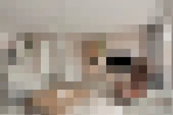 Melrose 23 Duiven thumbnail 12