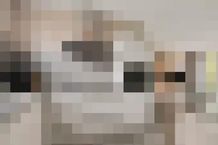 Melrose 23 Duiven thumbnail 16