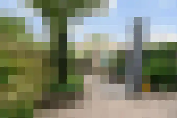 Melrose 23 Duiven thumbnail 18