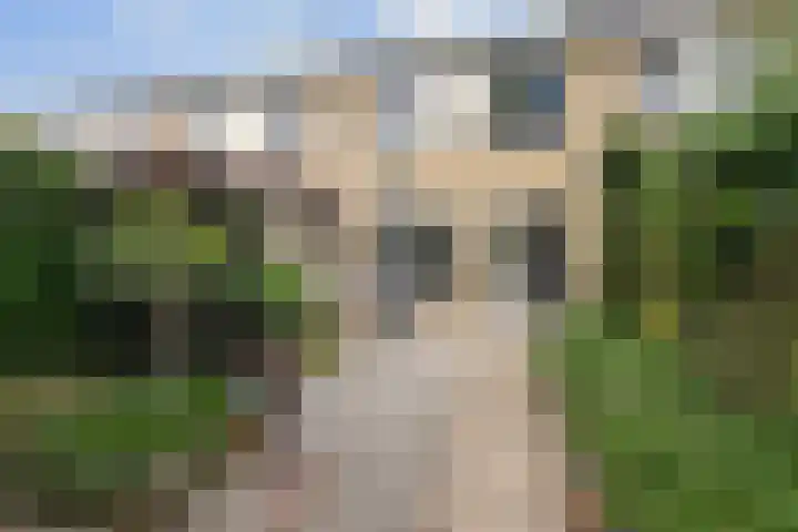 Melrose 23 Duiven thumbnail 19