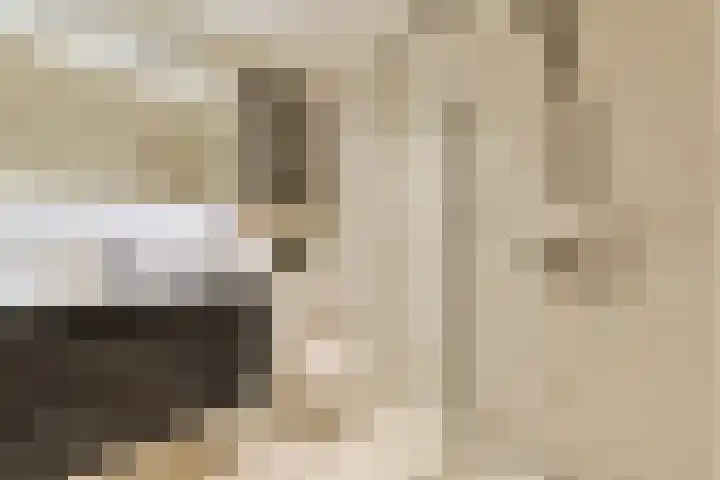 Melrose 23 Duiven thumbnail 26