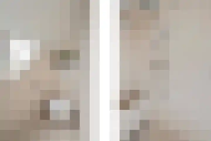 Melrose 23 Duiven thumbnail 31