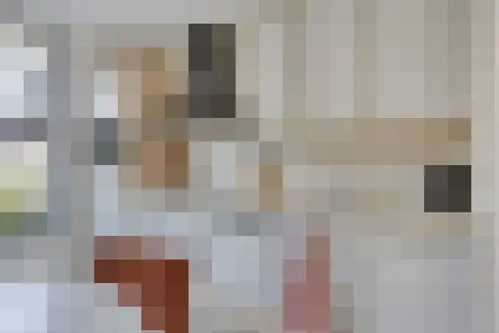 Melrose 23 Duiven thumbnail 43