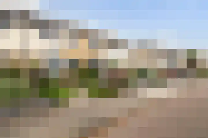 Melrose 23 Duiven thumbnail 5