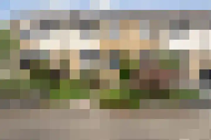 Melrose 23 Duiven thumbnail 53