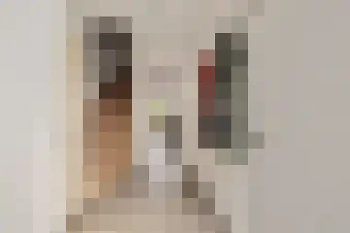 Melrose 23 Duiven thumbnail 9