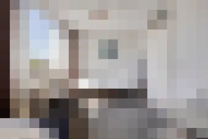 Melrose 44 Duiven thumbnail 30