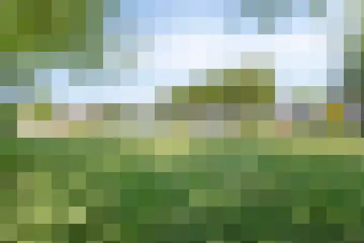 Melrose 44 Duiven thumbnail 45