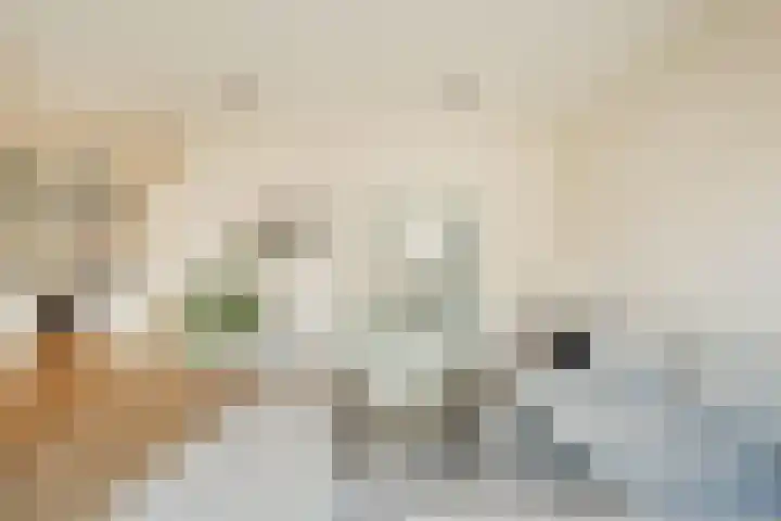 Memeleiland 131 Amsterdam thumbnail 15