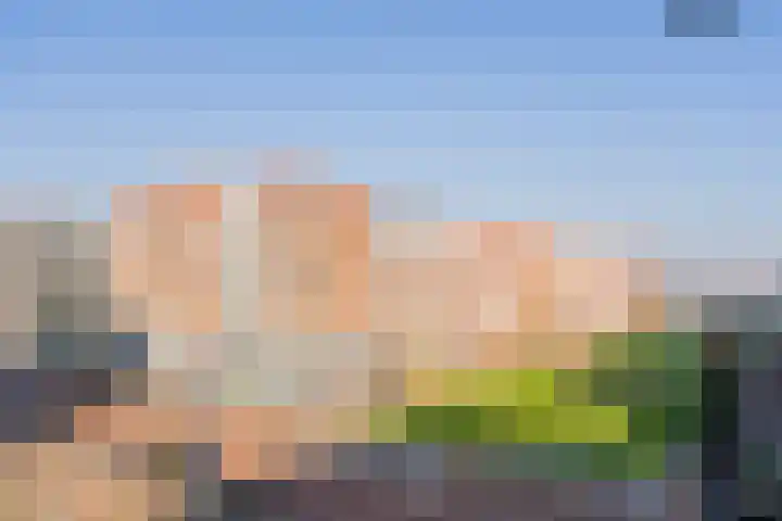 Memeleiland 131 Amsterdam thumbnail 40