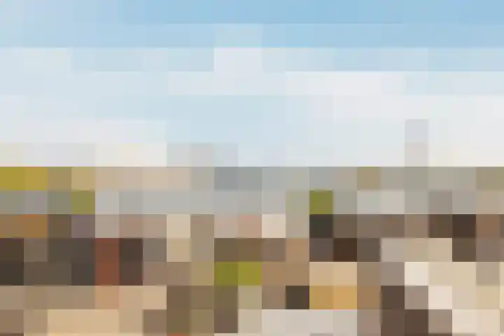 Memeleiland 131 Amsterdam thumbnail 45