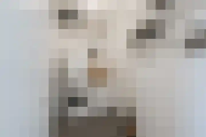Memeleiland 134 Amsterdam thumbnail 35