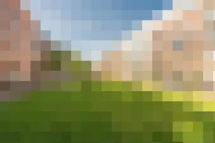 Memeleiland 134 Amsterdam thumbnail 43