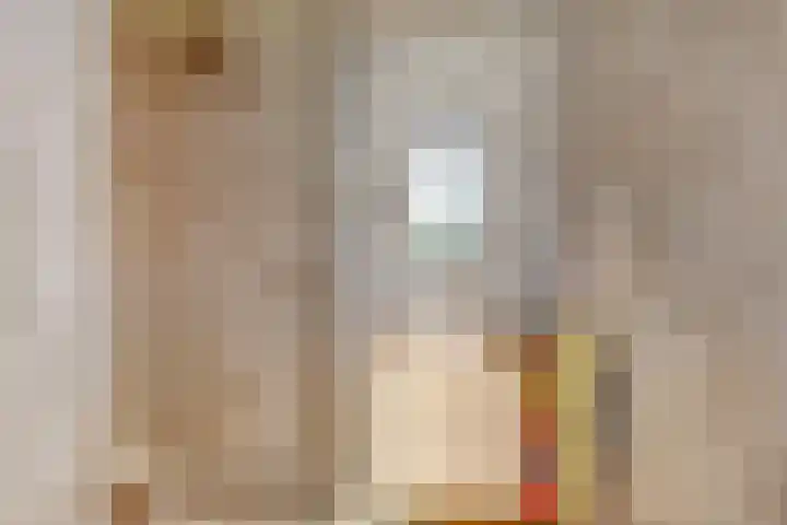 Memeleiland 93 Amsterdam thumbnail 15