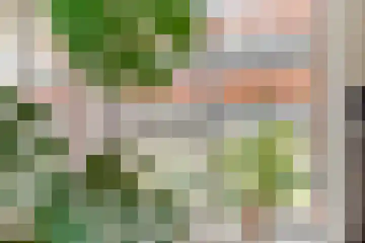 Memeleiland 93 Amsterdam thumbnail 22