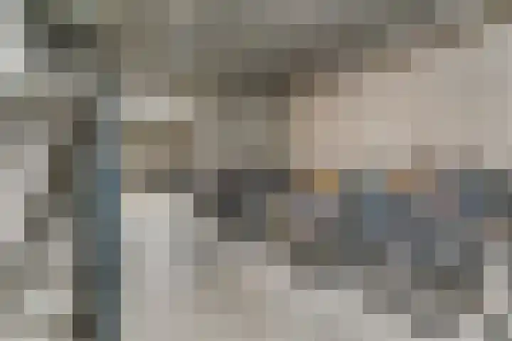 Memeleiland 93 Amsterdam thumbnail 39