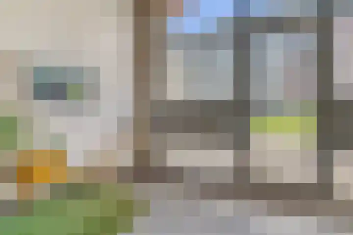 Memeleiland 93 Amsterdam thumbnail 5