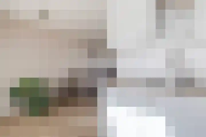 Memerdastate 6 Hallum thumbnail 17