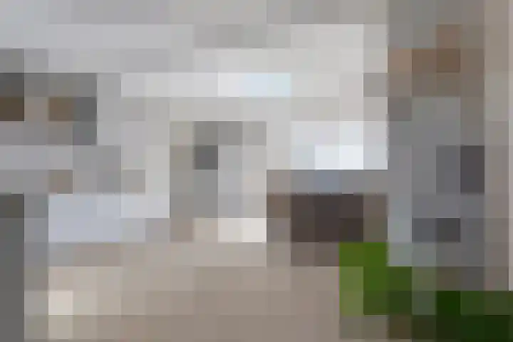 Memerdastate 6 Hallum foto 3