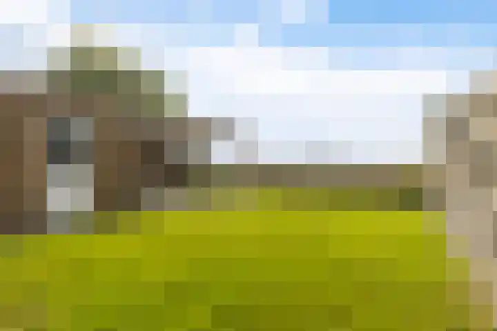 Memerdastate 6 Hallum thumbnail 4