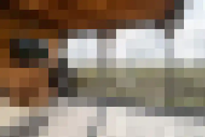 Memerdastate 6 Hallum thumbnail 40
