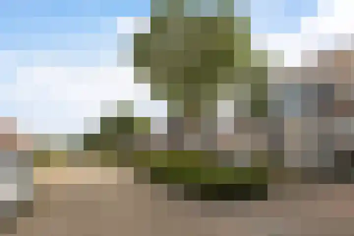 Memerdastate 6 Hallum thumbnail 42