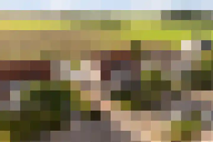 Memerdastate 6 Hallum thumbnail 46