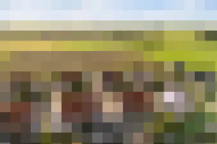 Memerdastate 6 Hallum thumbnail 47