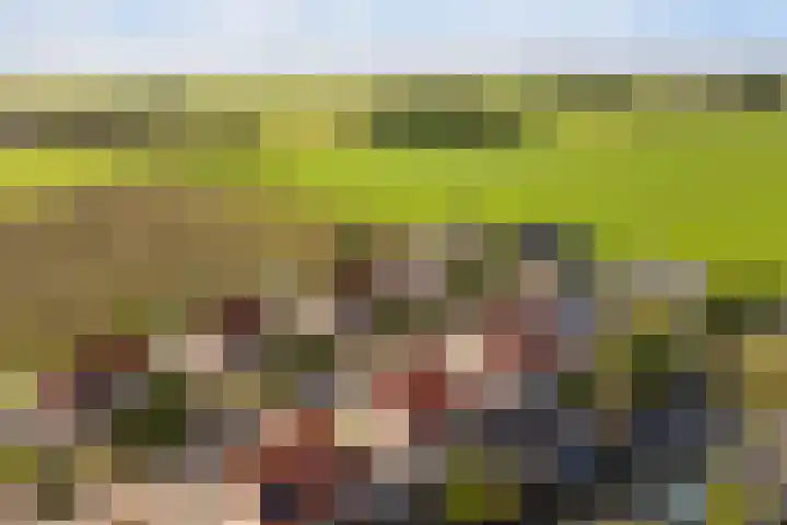 Memerdastate 6 Hallum thumbnail 50