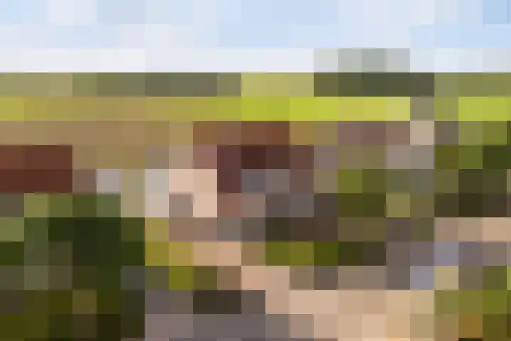 Memerdastate 6 Hallum thumbnail 51