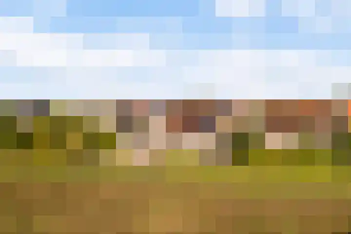 Memerdastate 6 Hallum thumbnail 52