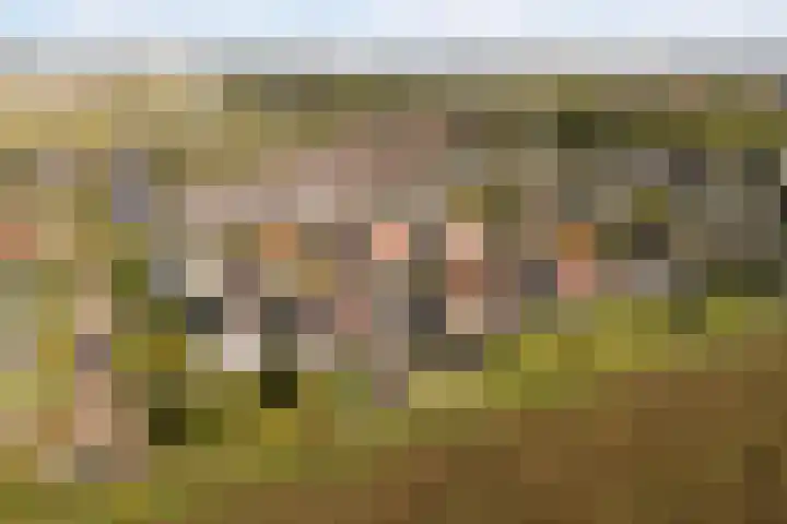 Memerdastate 6 Hallum thumbnail 55