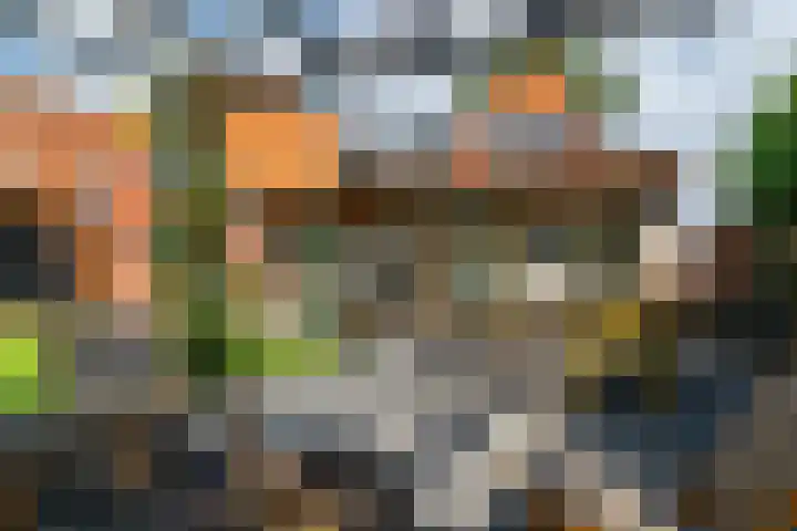 Menamerdyk 7 Bitgummole thumbnail 11