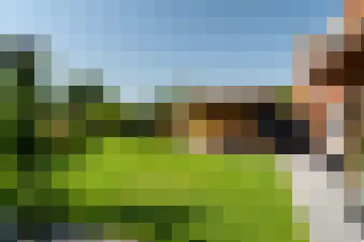 Menamerdyk 7 Bitgummole thumbnail 15