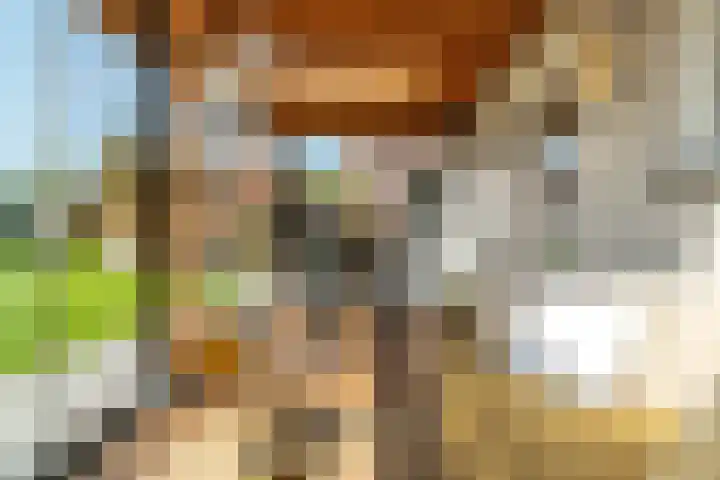 Menamerdyk 7 Bitgummole thumbnail 16