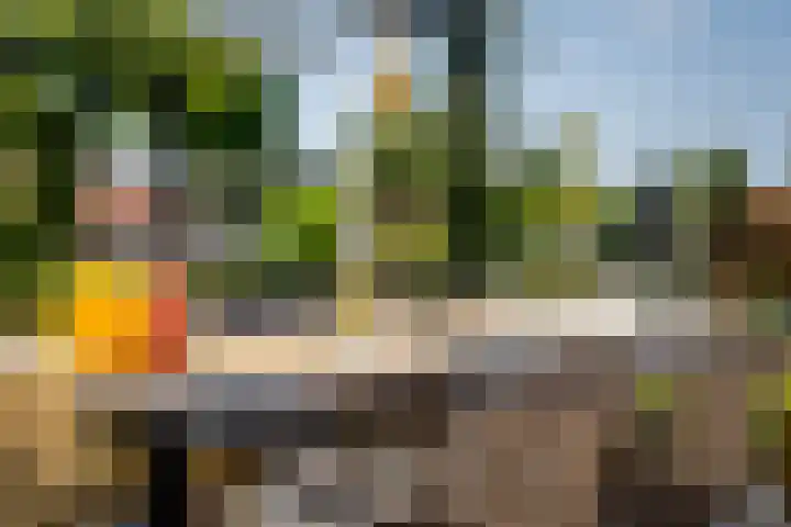 Menamerdyk 7 Bitgummole thumbnail 20