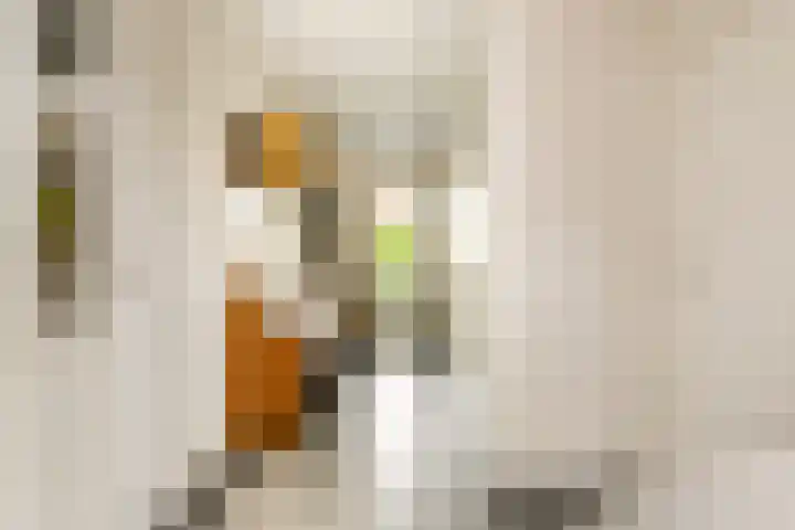 Menamerdyk 7 Bitgummole thumbnail 23