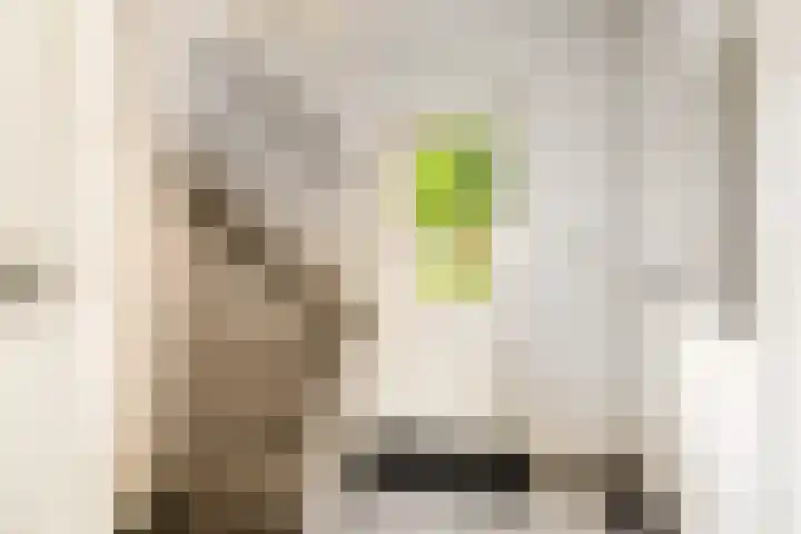 Menamerdyk 7 Bitgummole thumbnail 25