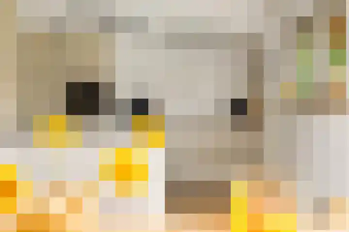 Menamerdyk 7 Bitgummole thumbnail 30