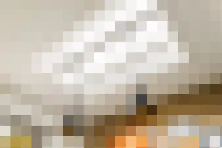 Menamerdyk 7 Bitgummole thumbnail 33