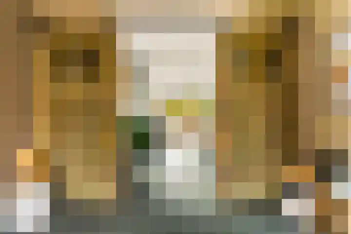 Menamerdyk 7 Bitgummole thumbnail 36