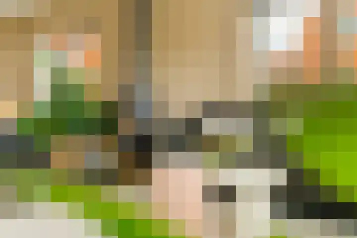 Menamerdyk 7 Bitgummole thumbnail 42