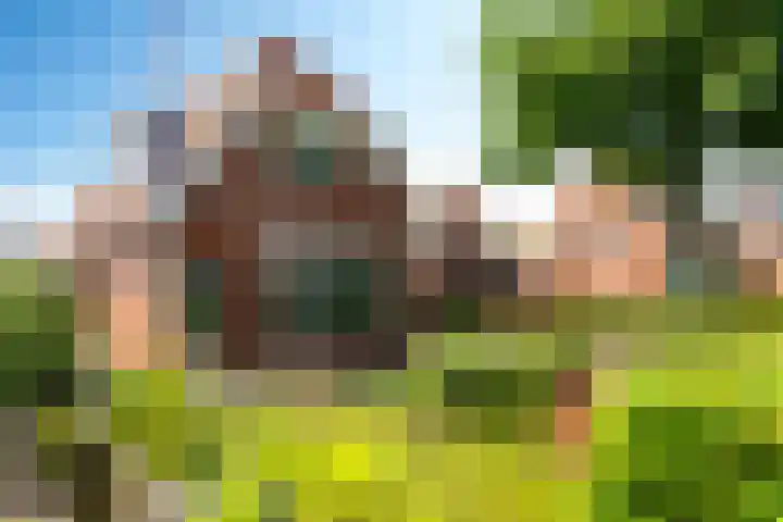 Menamerdyk 7 Bitgummole thumbnail 5