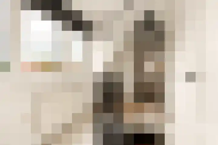 Menamerdyk 7 Bitgummole thumbnail 51
