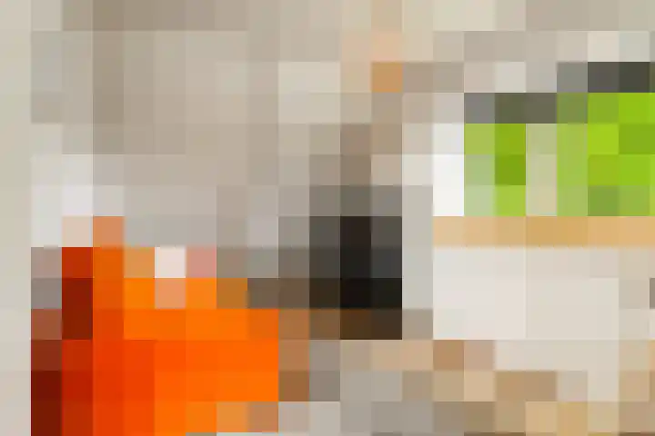 Menamerdyk 7 Bitgummole thumbnail 54