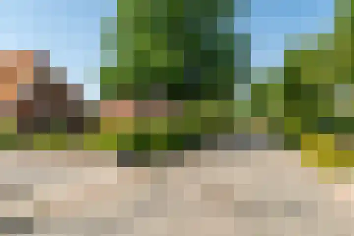 Menamerdyk 7 Bitgummole thumbnail 6