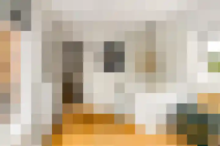 Menamerdyk 7 Bitgummole thumbnail 60
