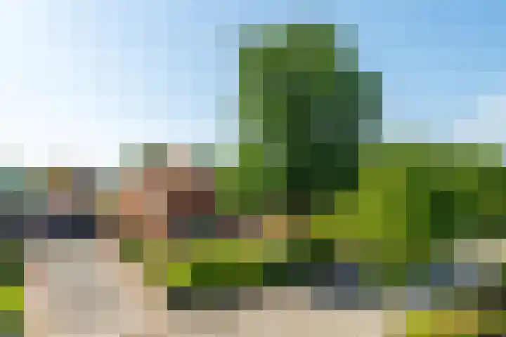 Menamerdyk 7 Bitgummole thumbnail 7