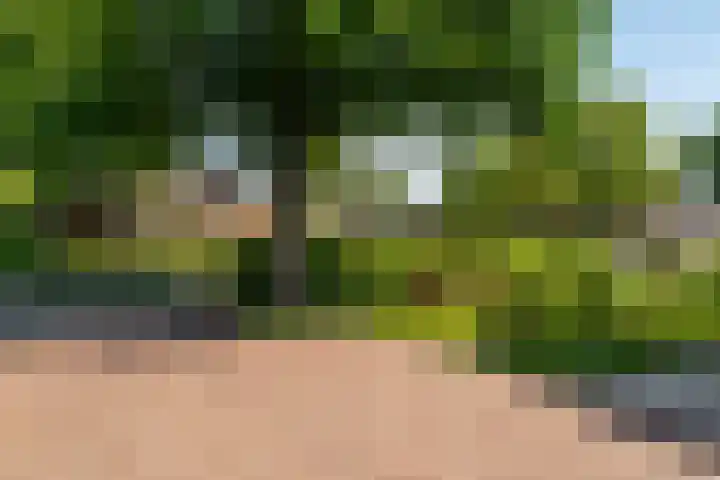 Menamerdyk 7 Bitgummole thumbnail 8
